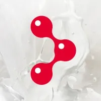 BiAConsult