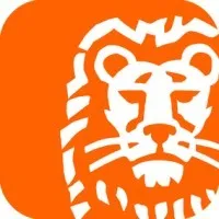 ING Hubs Türkiye