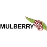 Mulberry1