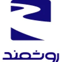 Raveshmand Consulting email format