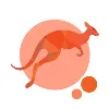 Digital Roo Ltd Digital Roo Ltd