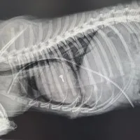 Go to new ACCESS Page