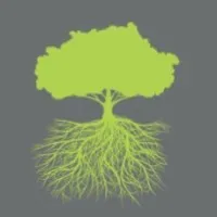 Healthy Foundations Group