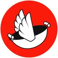 Flying Woks Australia Pty Ltd