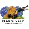 Cardinale Enterprises Cardinale Enterprises