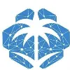 AI Society AI Society