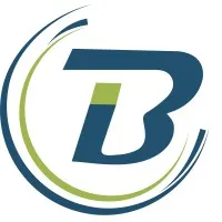 Biz-Insights IT Solutions LLP