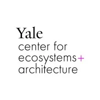 Yale CEA Yale CEA