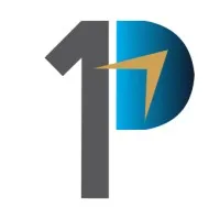 Paradigm One Consulting LLC