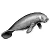 Manatee, Inc.