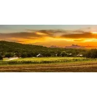 Singing Water Vineyards