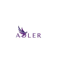 Adler Divorce Financial Consulting, a division of Adler Consulting, PLLC