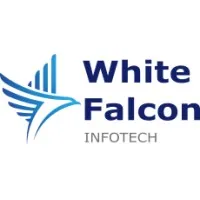 White Falcon Infotech Inc.