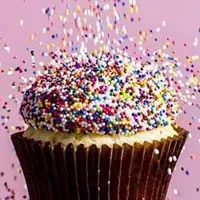 Smallcakes A Cupcakery Smallcakes A Cupcakery