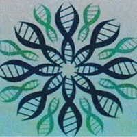 Medizam Healthcare Limited