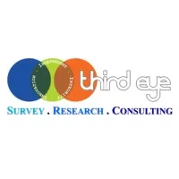 Third Eye Survey Research Consulting