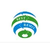 Best Remit Best Remit