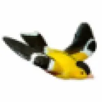 Management By Morgan