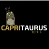 CapriTaurus Media CapriTaurus Media
