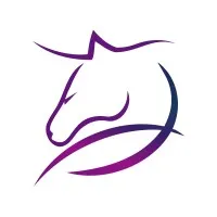 Savvy Oil & Gas Consulting