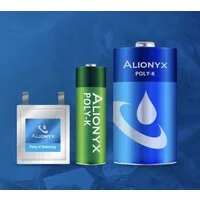 Alionyx Energy Systems Inc.