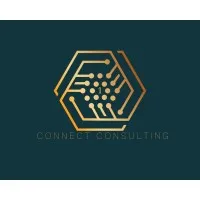 1Connect Consulting