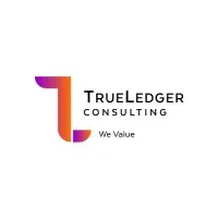 TrueLedger Consulting