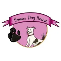 Bubbles Dog Rescue Bubbles Dog Rescue