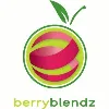 Berry Blendz Berry Blendz
