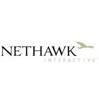NetHawk Interactive, Inc.