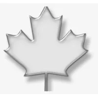 LYNX BUSINESS MANAGEMENT GROUP Inc.