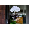 Center for Developing Kids Center for Developing Kids