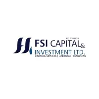 FSI Capital Investment Limited