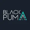 The Black Puma The Black Puma