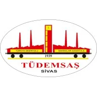 TÜDEMSAŞ email format