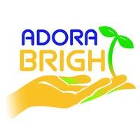 Adora Bright Pediatric Therapy Services
