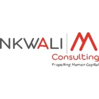 Nkwali M Consulting Nkwali M Consulting