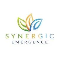 Synergic Emergence