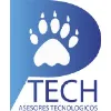 P-Tech Consulting Services