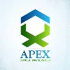 Apex Consulting Services