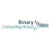 Binary Consulting Group Binary Consulting Group