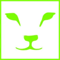 LION Finance