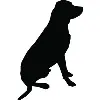 Black Dog Video Black Dog Video