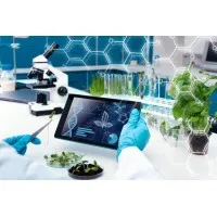 DAB and Kettara sarl