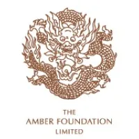 The Amber Foundation