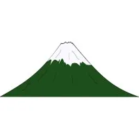 Professional Risk Management