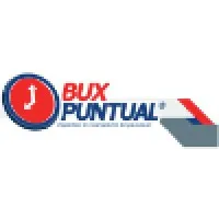 Bux Puntual SA de CV Bux Puntual SA de CV