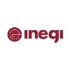 INEGI driving science & innovation