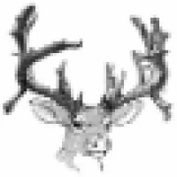 Franklin Accounting & Tax Service