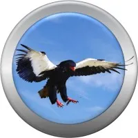 Bateleur Brand Planning